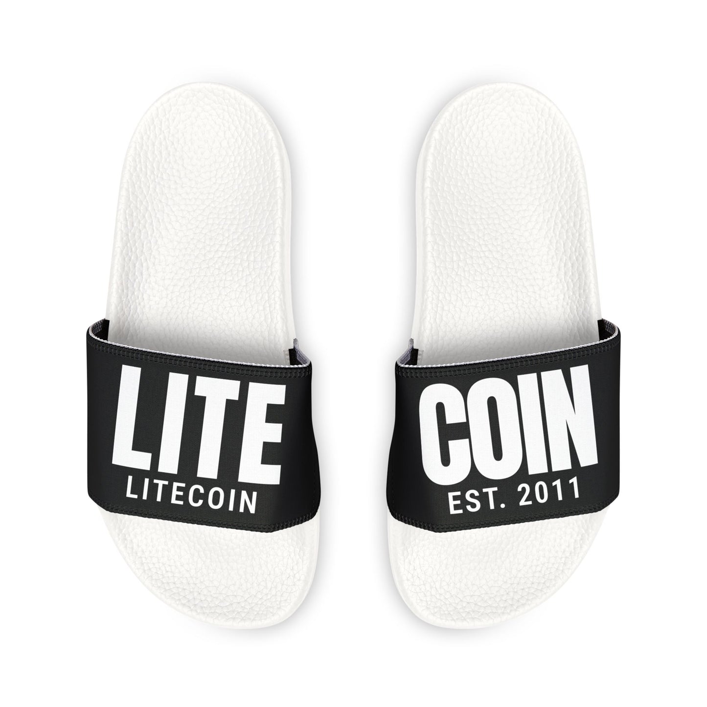 Litecon Slides