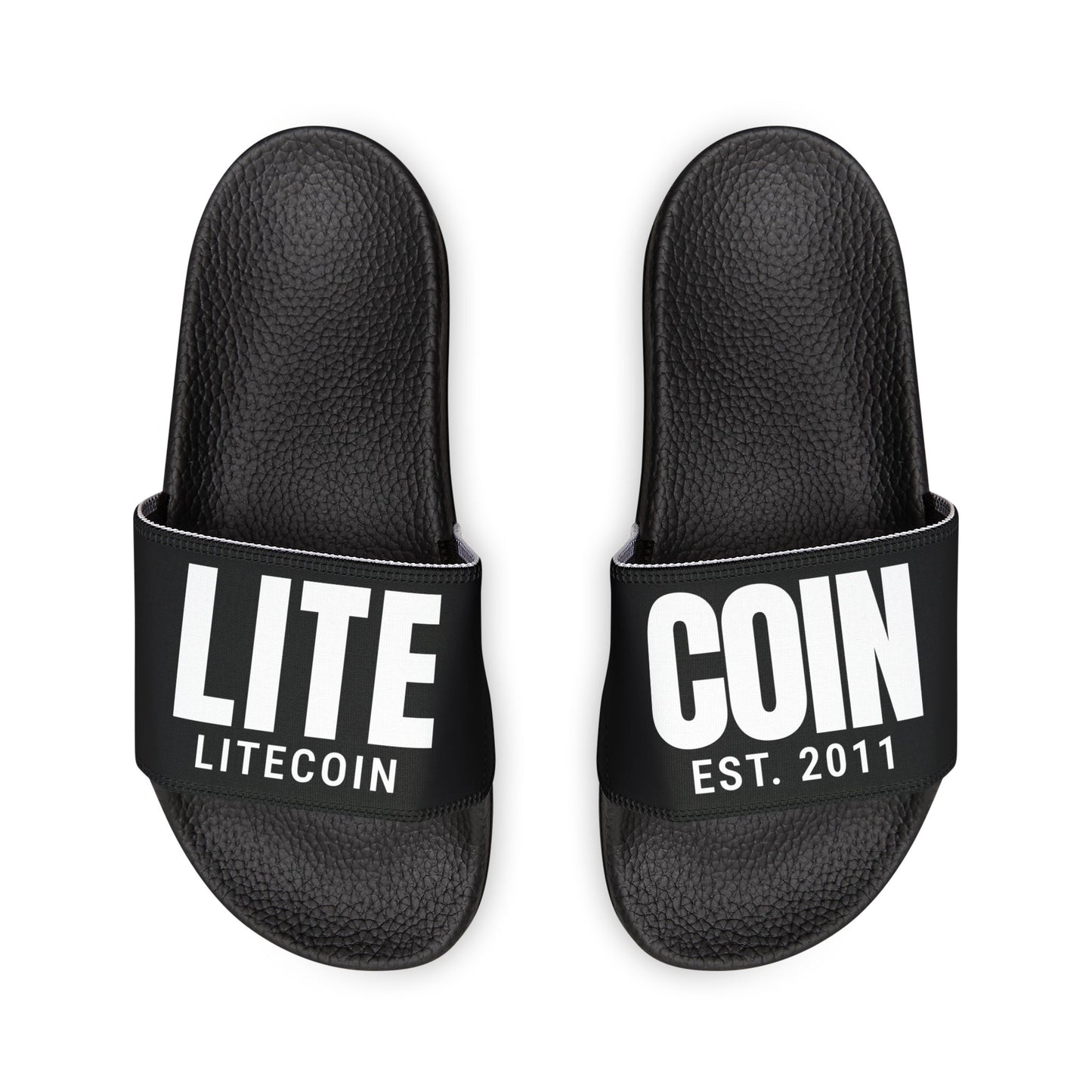 Litecon Slides