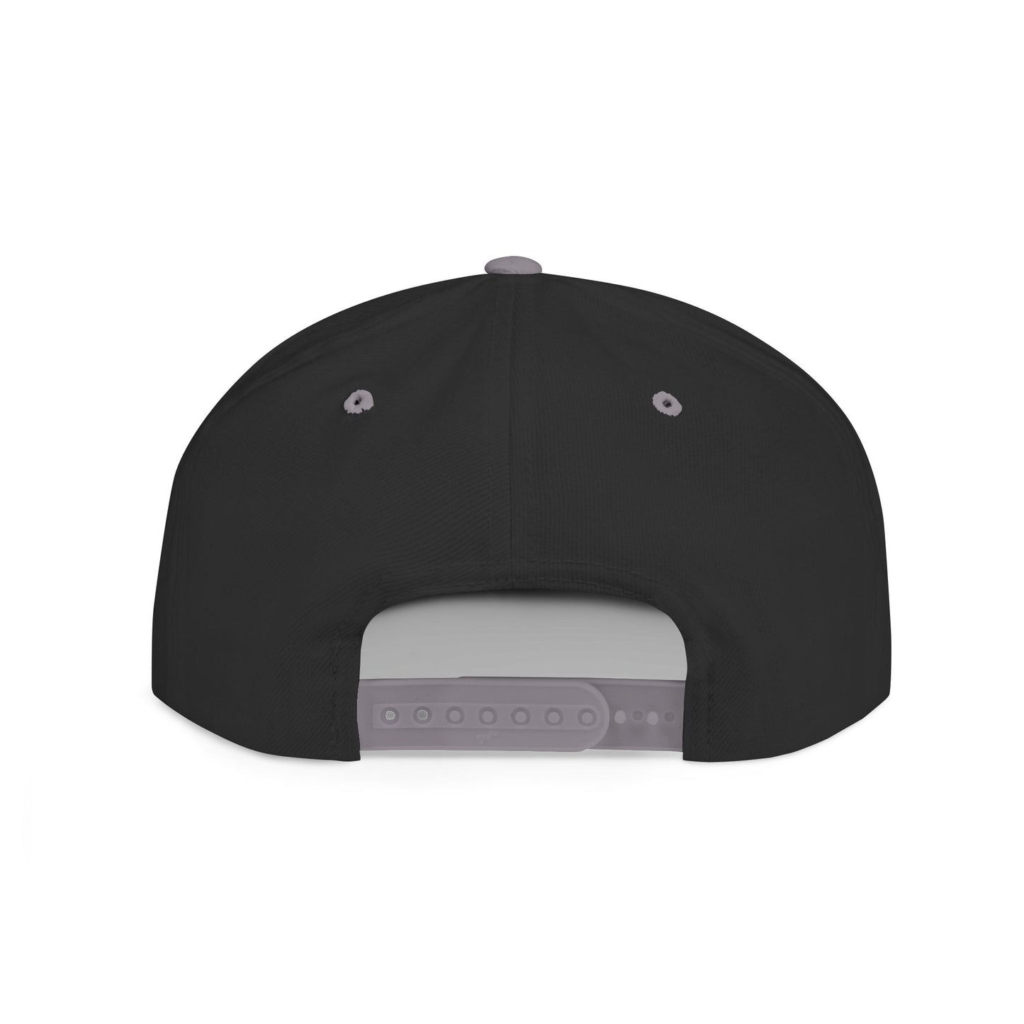 Litecoin Foundation Classic Cap