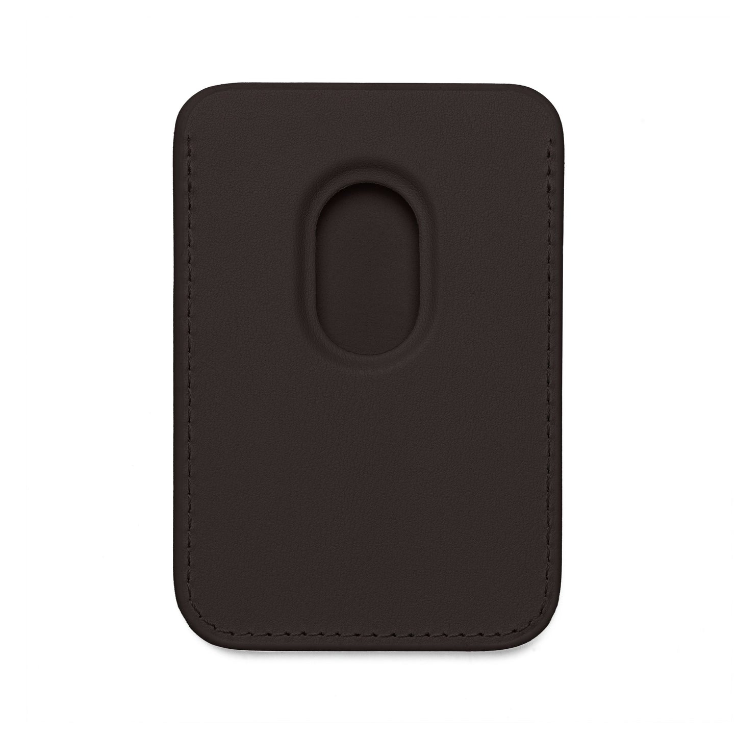 Litecoin Magnetic Wallet