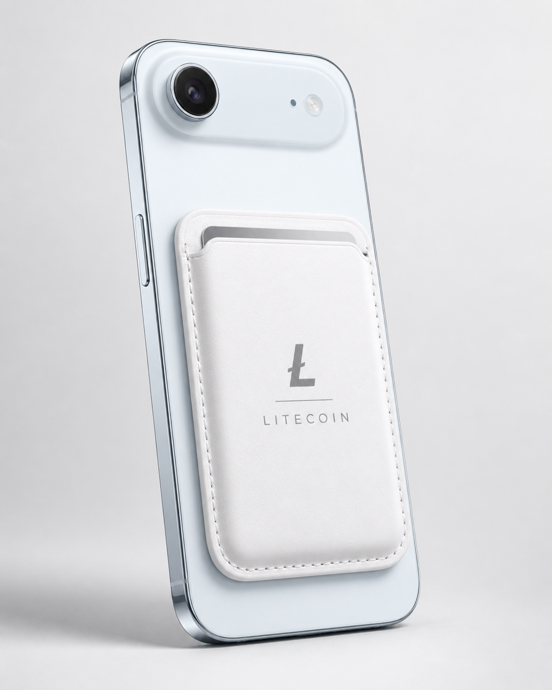 Litecoin Magnetic Wallet