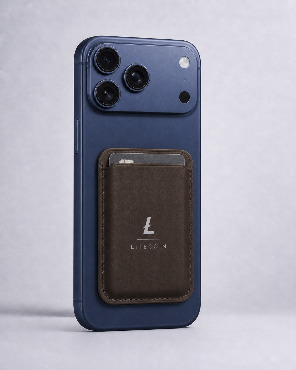 Litecoin Magnetic Wallet